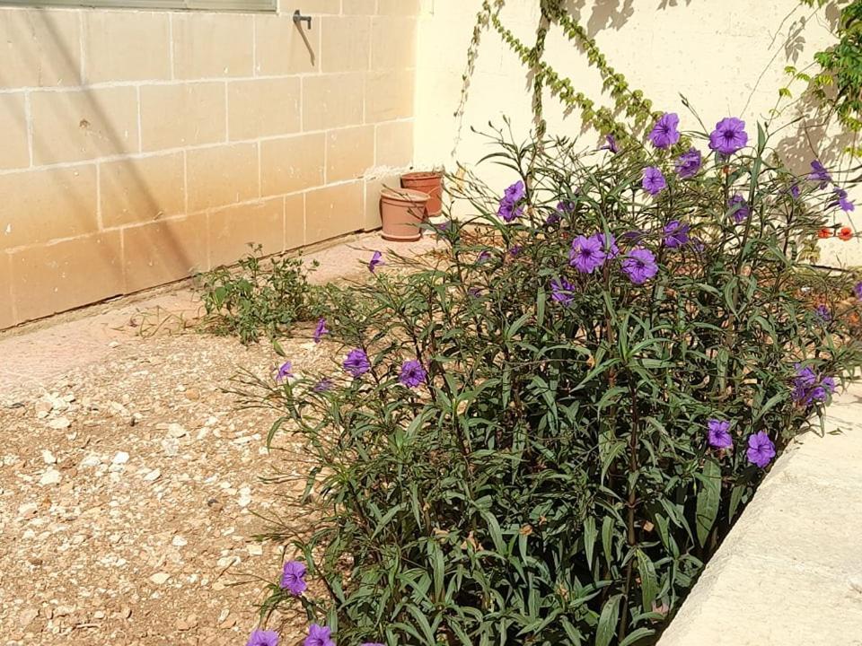 Dynesty B&B Birżebbuġa Екстериор снимка